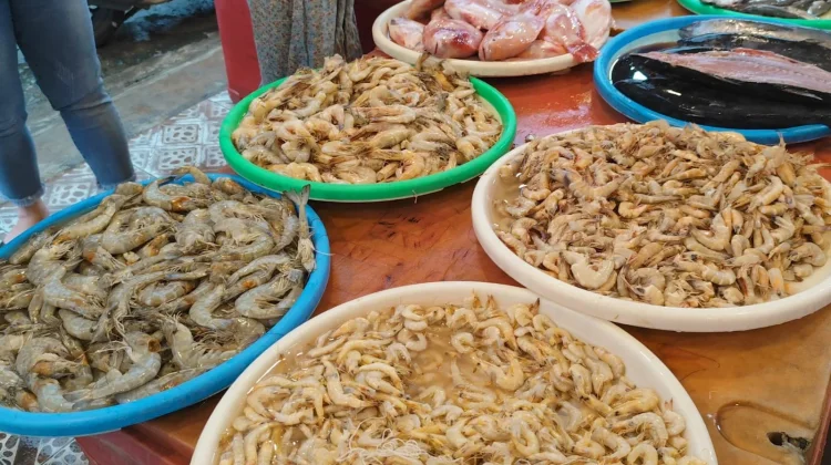 Harga Udang di Pasar Sentral Sanggau Naik akibat Pasokan Berkurang