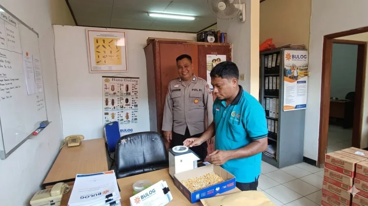 Bulog Serap 1,7 Ton Jagung Polsek Tayan Hilir