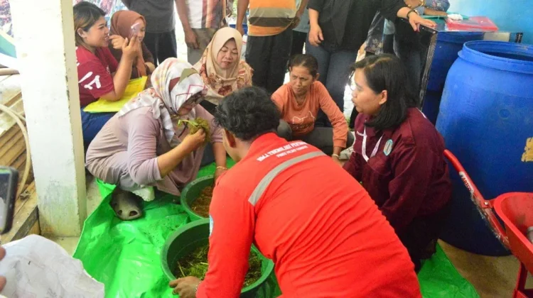 Inovasi Pupuk Organik Ubah Limbah Jadi Berkah Berkelanjutan