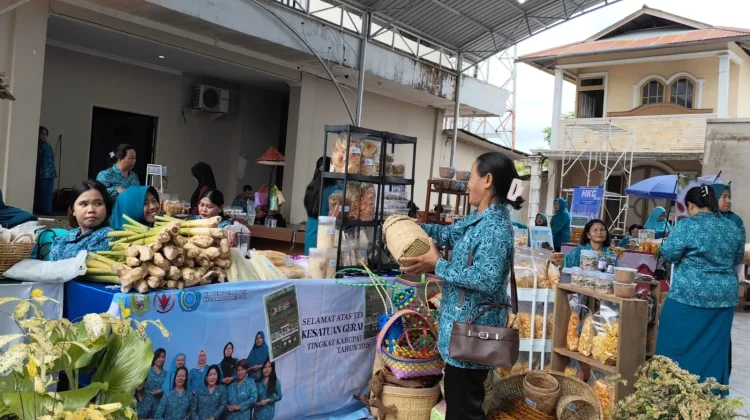 TP PKK Sanggau Dorong Pengembangan Produk Unggulan Desa
