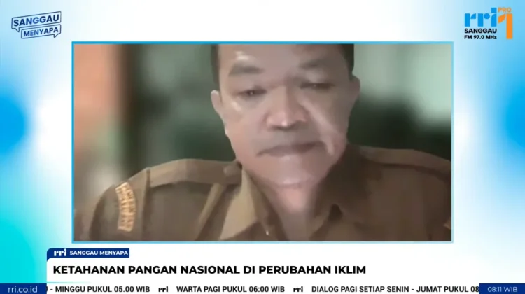 Produksi Pangan Sanggau Diprediksi Menurun imbas Anomali Iklim