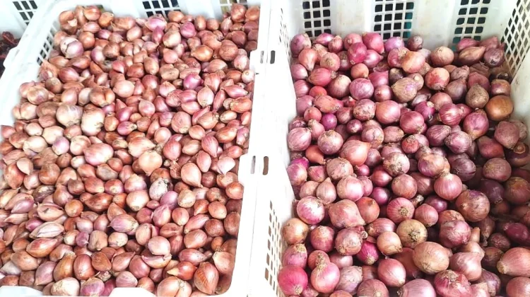 Harga Bawang Merah di Entikong Tembus Rp60 Ribu