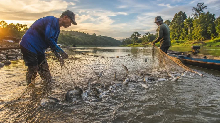 UMKM Sanggau Manfaatkan Ikan Lokal Tayan