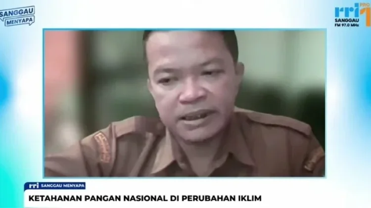 Perubahan Iklim Ancam Ketahanan Pangan di Kabupaten Sanggau