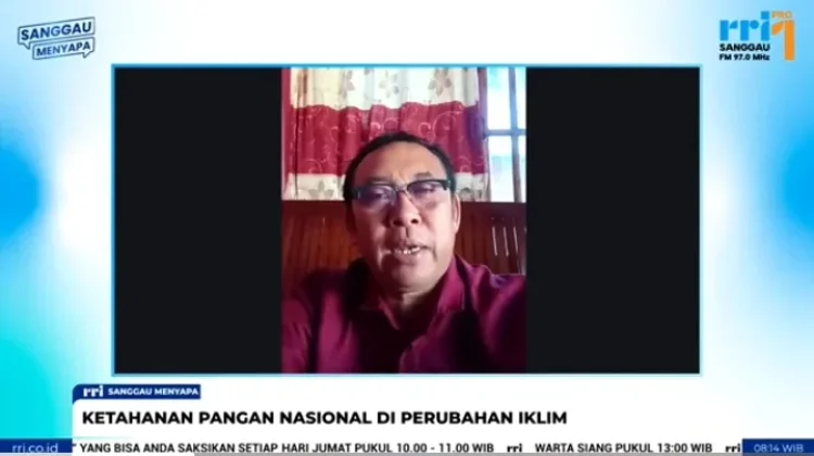 Petani Perbatasan Kabupaten Sanggau Harapkan Solusi Status Lahan