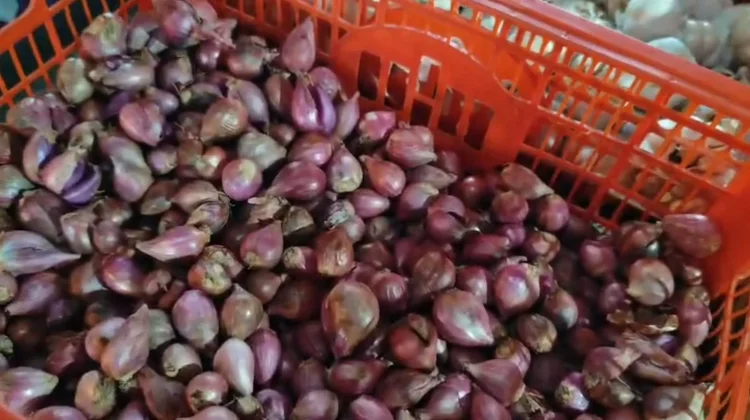 Pasokan Berkurang, Harga Bawang Merah di Sanggau Masih Tinggi