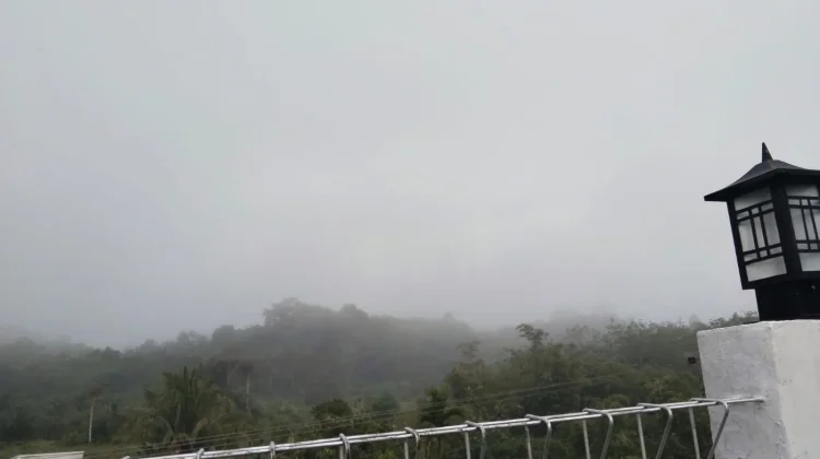 Tujuh Cara Menenangkan Pikiran saat Menikmati Kabut Pagi