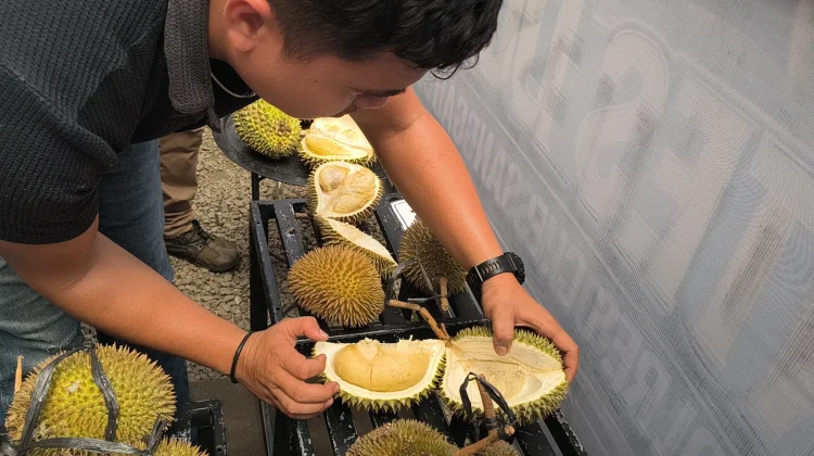 Polres Sanggau Dorong Hilirisasi Durian demi Kesejahteraan UMKM