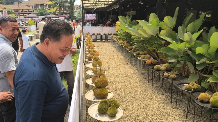 Paolus Hadi Optimis Kontes Durian Sanggau Temukan Varietas Baru
