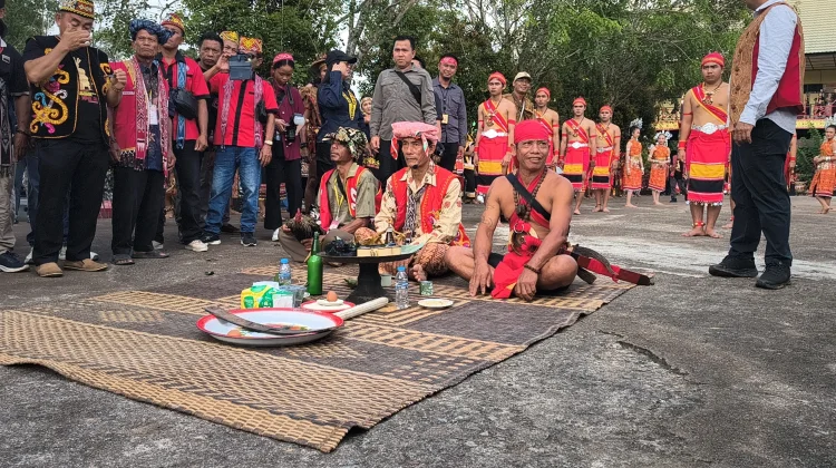 Wabup Sanggau: Gawai Dayak Perkuat Persatuan dan Budaya