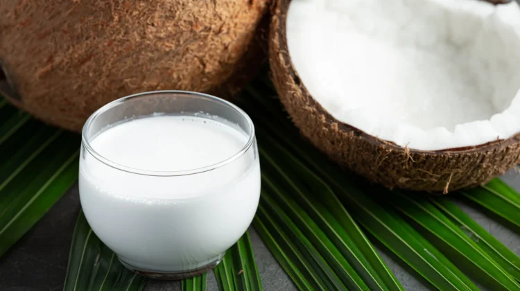 Tips Menyimpan Santan Kelapa agar Tidak Mudah Basi
