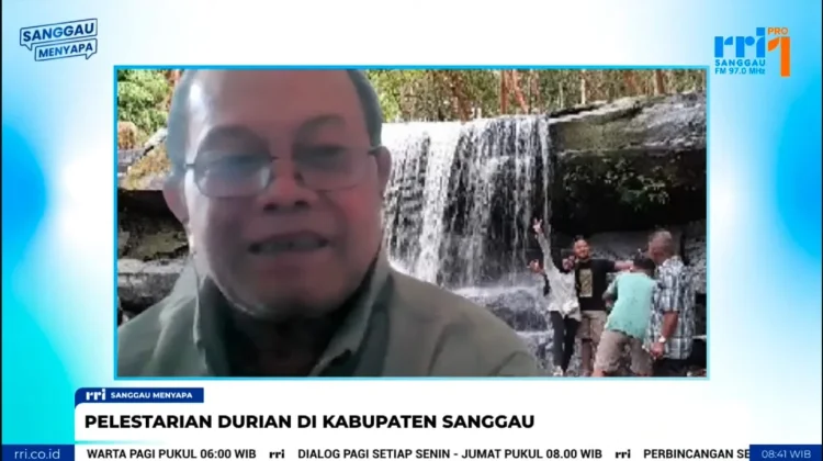 Ancaman Nyata Kelestarian Durian Sanggau, Perlu Perlindungan Bersama