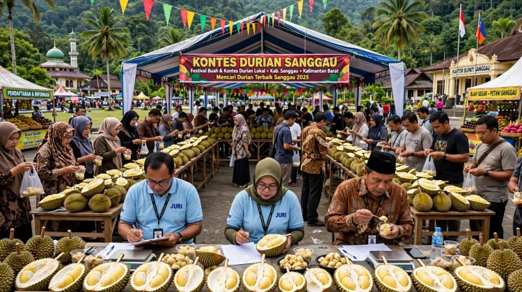 Sanggau Pelopor Kontes Durian, Cara Unik Jaga Varietas Lokal