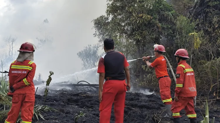 Kebakaran Lahan Nyaris Merambat ke Permukiman Warga Sanggau