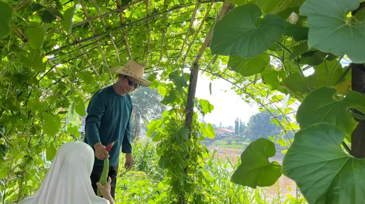 Kebun Pokdarwis Jadi Spot Wisata Baru di Sanggau