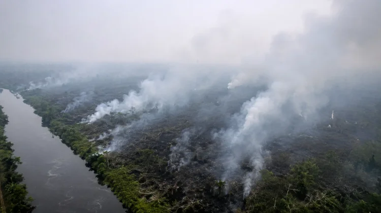 Ini yang Terjadi jika Kabut Asap Melanda