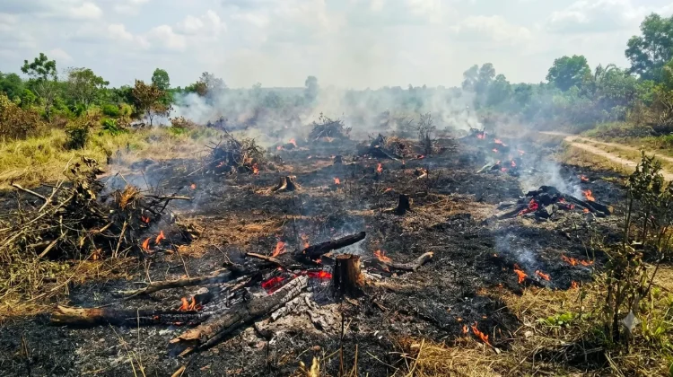 Potensi Karhutla Meningkat, Ribuan Titik Panas Terdeteksi di Sanggau