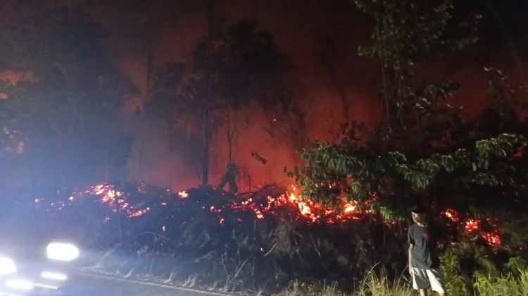 Kebakaran Lahan di Tanjakan Kimleng, Sudah Tiga Jam Api Belum Padam