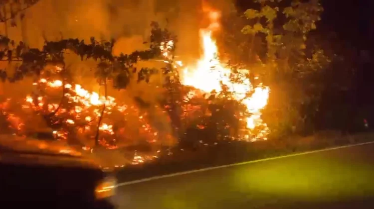 Karhutla di Tayan Hilir, Api Nyaris Masuk ke Jalan Nasional