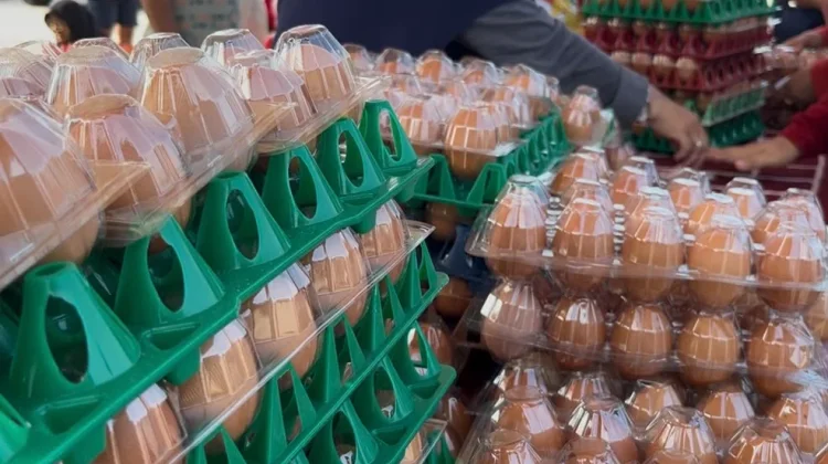 Disbunnak Kalbar Hadirkan Ribuan Telur Murah di Sanggau