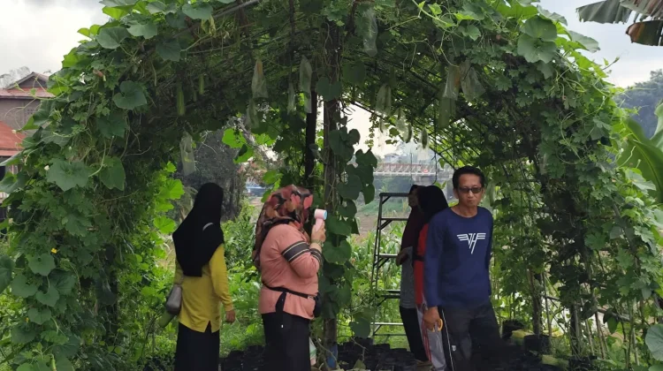 Kebun Pokdarwis Muara Kantu Sanggau Makin Diminati Warga