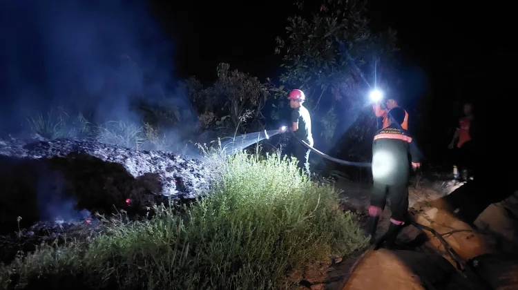Petugas Berjibaku Padamkan Kebakaran Lahan Dekat Gudang Wings Sanggau