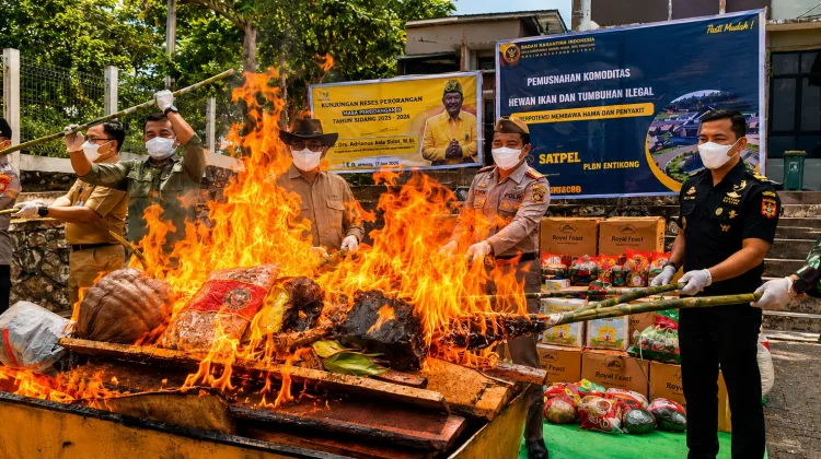 BKHIT Kalbar Musnahkan 66,75 Kilogram Komoditas Berisiko di Entikong