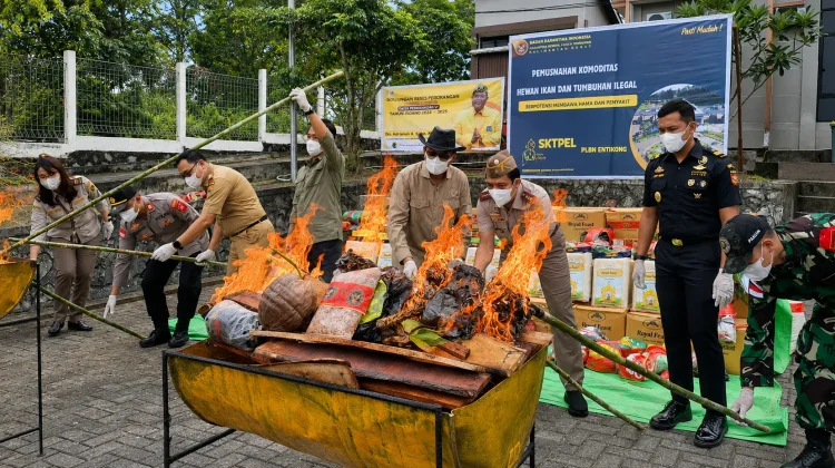 DPR Dukung Pemusnahan Komoditas Ilegal