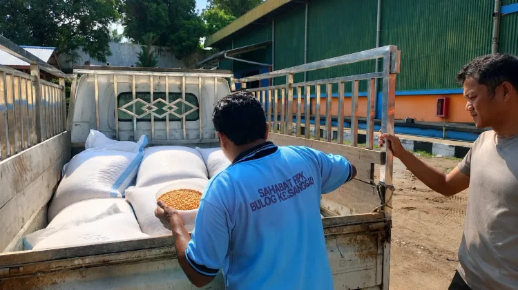 Polsek Noyan Pasok 800 Kilogram Jagung ke Bulog Sanggau