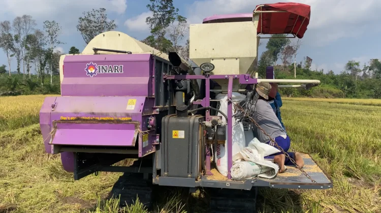 Mesin Panen Padi Percepat Kerja Petani Desa Belangin
