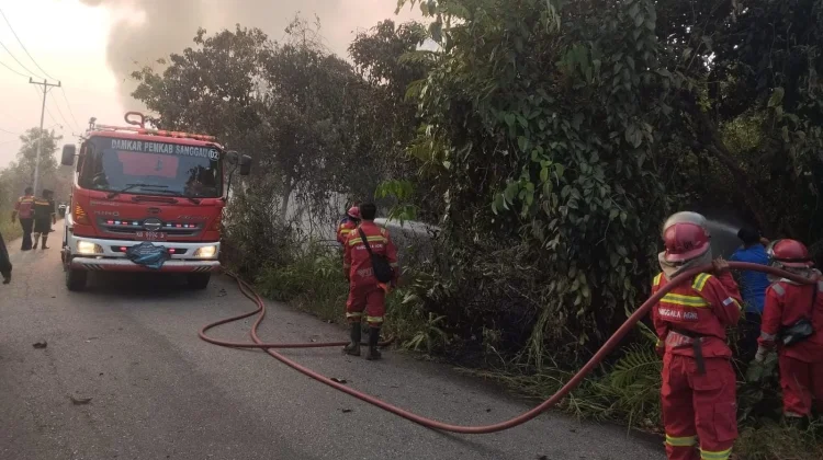 Lahan di Dokuk Terbakar Lagi, Diduga Ada yang Sengaja