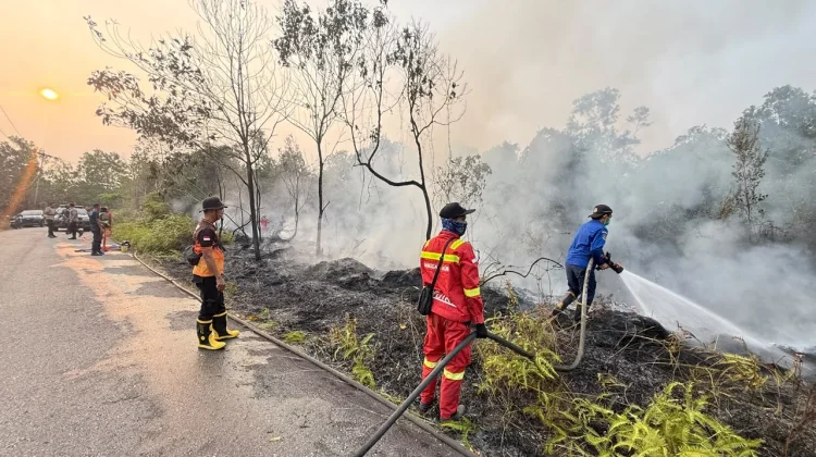 Jalan Dokuk Kembali Terbakar, Setengah Hektare Lahan Hangus