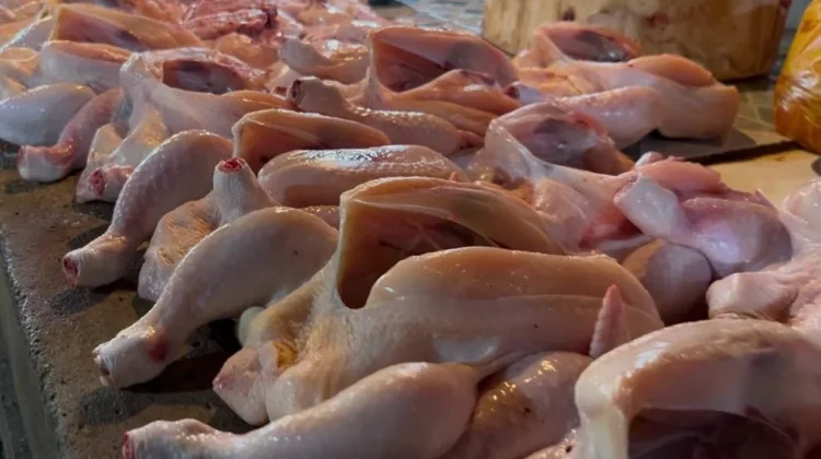 Harga Ayam Potong di Sanggau Turun