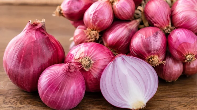 Kandungan Bawang Merah yang Bermanfaat untuk Kesehatan