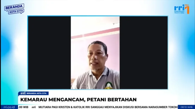 Kemarau Mengancam, Petani Terus Bertahan