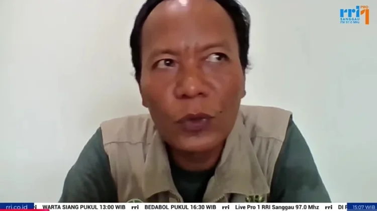 Potensi Hutan Jadi Sumber Penghidupan Berkelanjutan Masyarakat