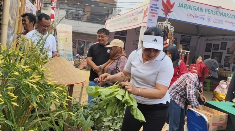 Wabup Sanggau Dorong Edukasi Pekarangan dan Pasar Pertanian UMKM