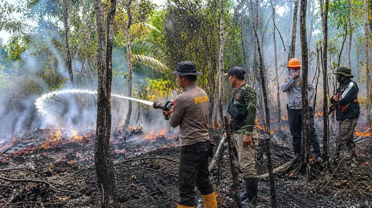 Karhutla Nyaris Membakar Satu Hektare Lahan di Jalan Trans Kalimantan