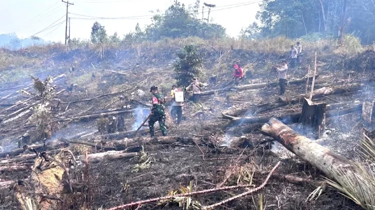 Karhutla di Noyan Berhasil Dipadamkan