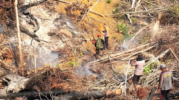Api Bakar Lahan di Teraju, Polsek Toba Turun Tangan