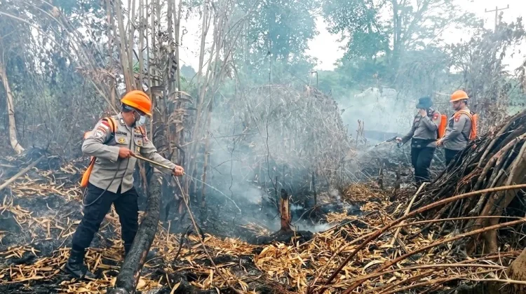 Karhutla di Sekayam Dipadamkan, Polisi Perkuat Pengawasan