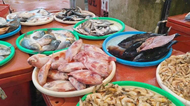 Musim Kemarau Tekan Penjualan Ikan di Pasar Sanggau