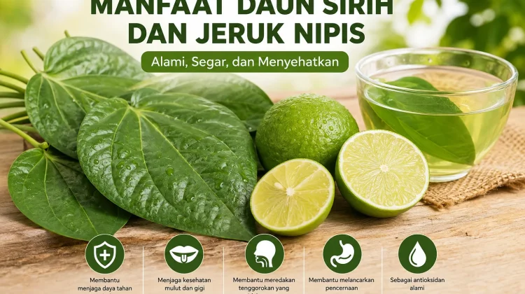 Manfaat Daun Sirih dan Jeruk Nipis bagi Kesehatan