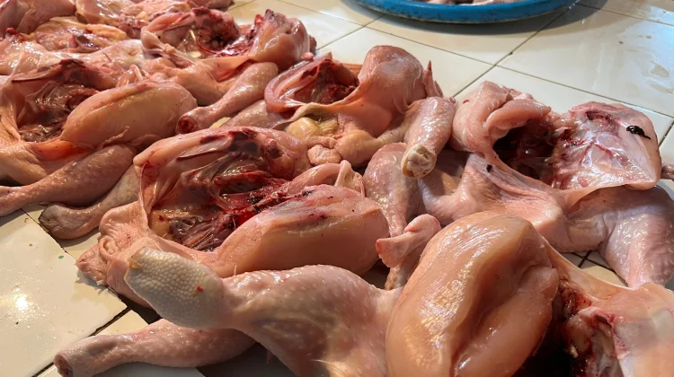 Kabut Asap dan Cuaca Pengaruhi Penjualan Ayam Potong di Sanggau