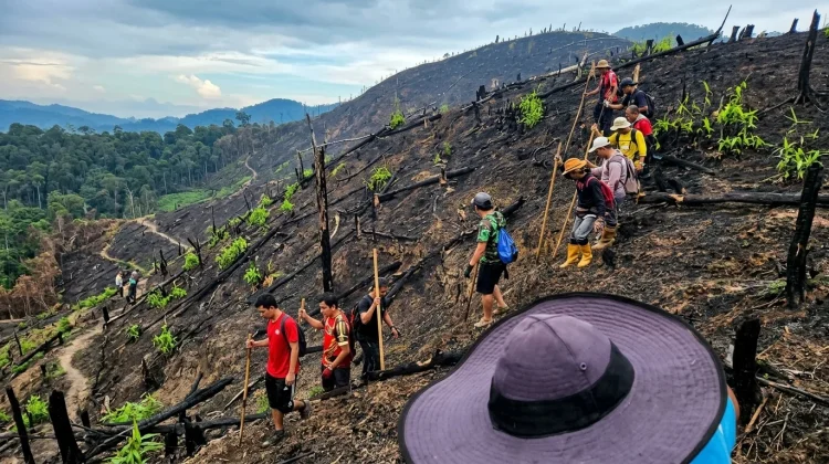 Aktivitas Bakar Lahan di Entikong Berkurang