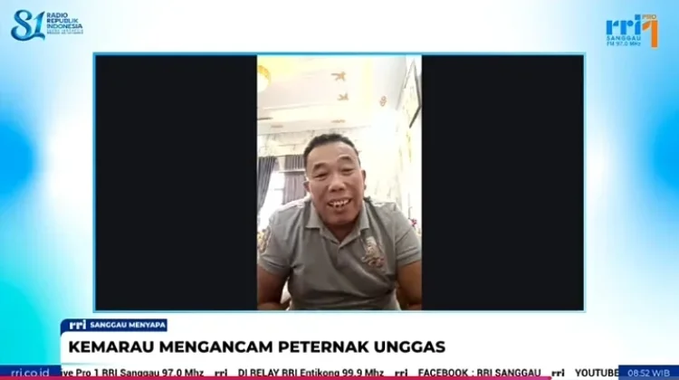Kabut Asap Picu Kematian Ayam Broiler di Sanggau