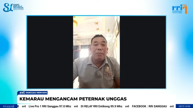 Kemarau dan Kabut Asap Ganggu Peternakan Unggas di Sanggau