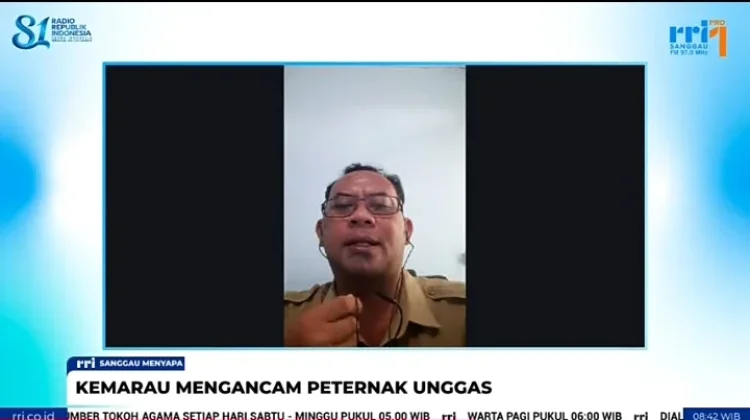 Kematian Unggas Dampak Kemarau Mulai Terjadi di Sanggau