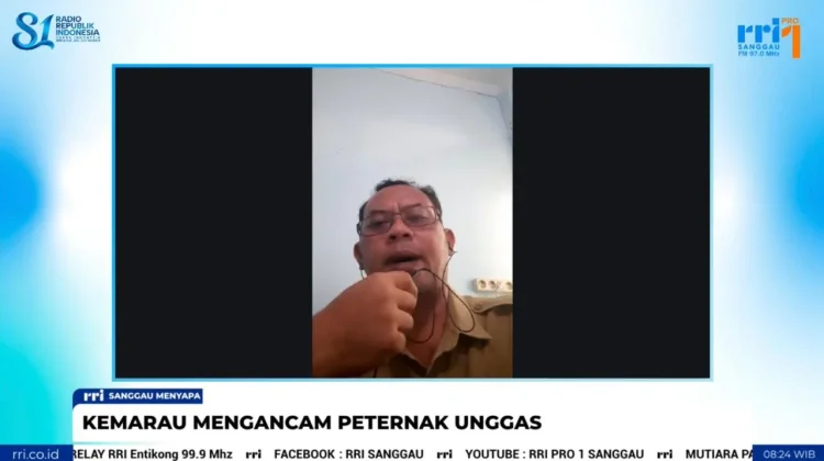 Kabut Asap Tekan Produktivitas Unggas di Sanggau