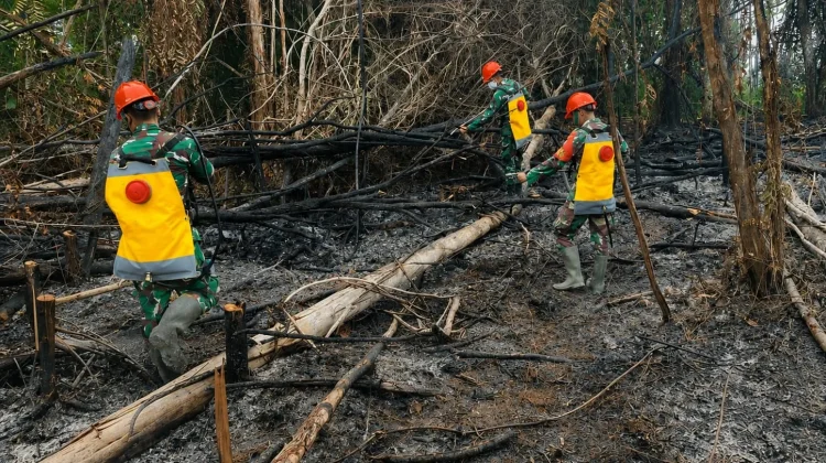 Laporan Masyarakat, Kunci Cegah Karhutla di Sanggau